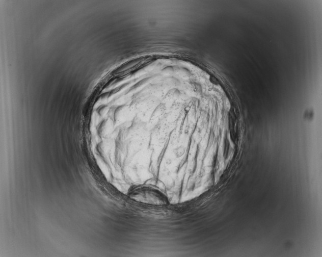 X0000115010346200911231232