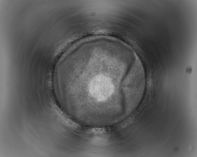 X0000115010353200911231232