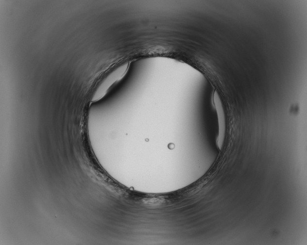 X0000115010362200911231232