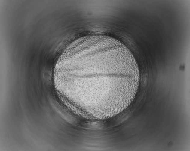 X0000115010365200911231232