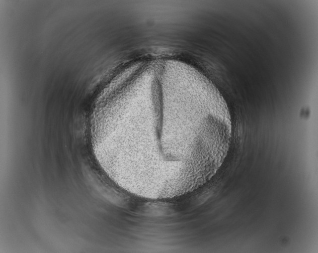 X0000115010367200911231232