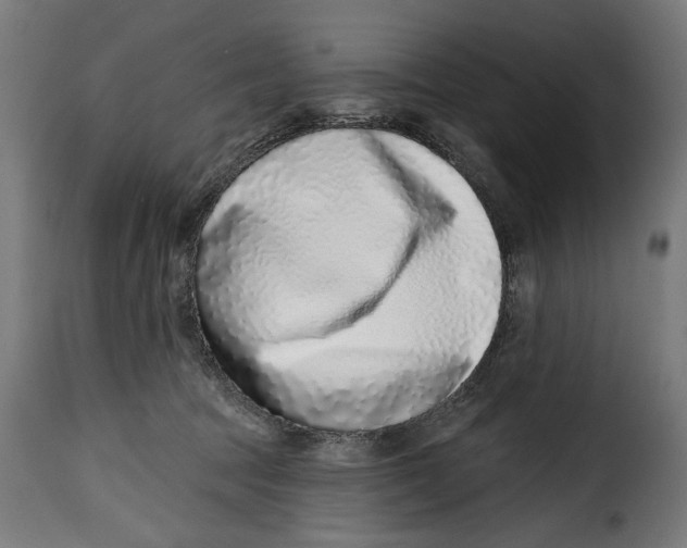 X0000115010369200911231232