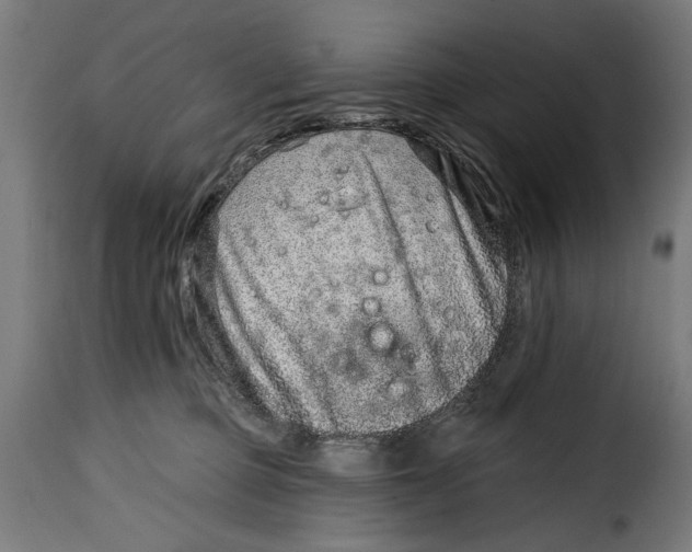 X0000115010373200911231232
