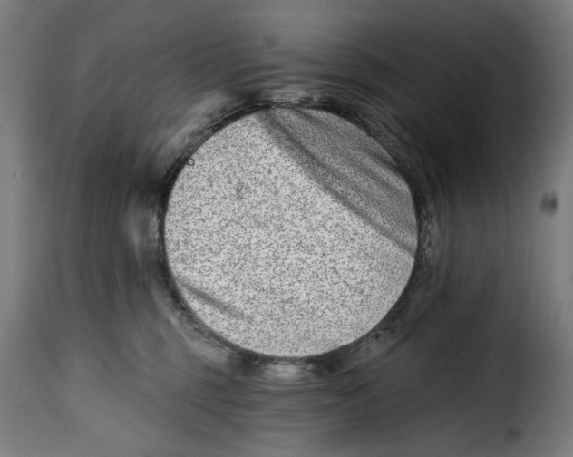 X0000115010375200911231232