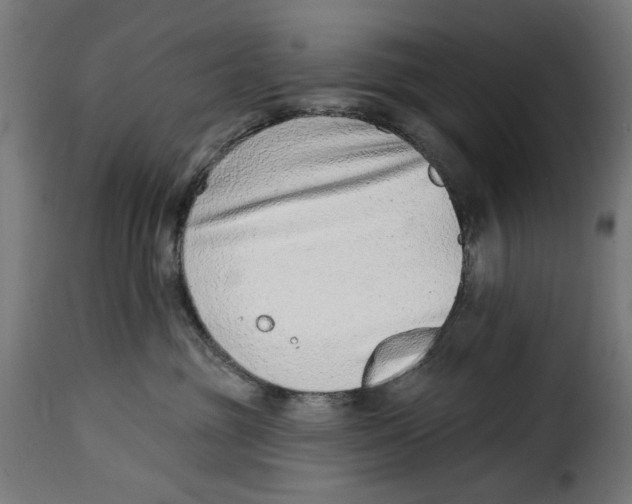 X0000115010381200911231232