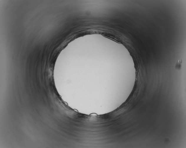 X0000115010382200911231232