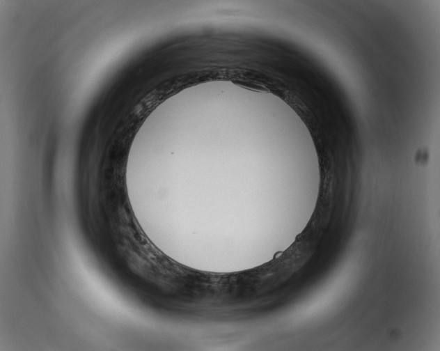 X0000115010383200911231232