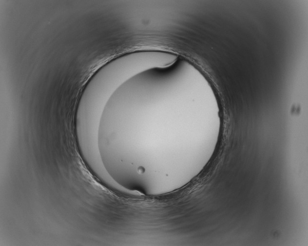 X0000115010385200911231231