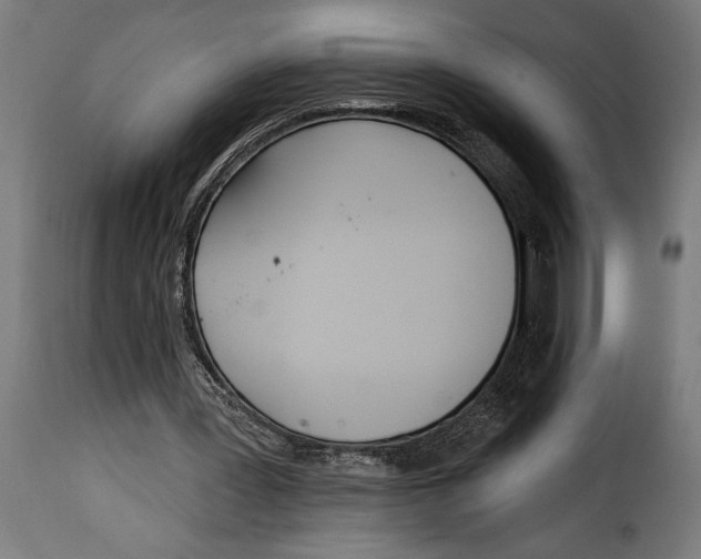X0000115010387200911231231