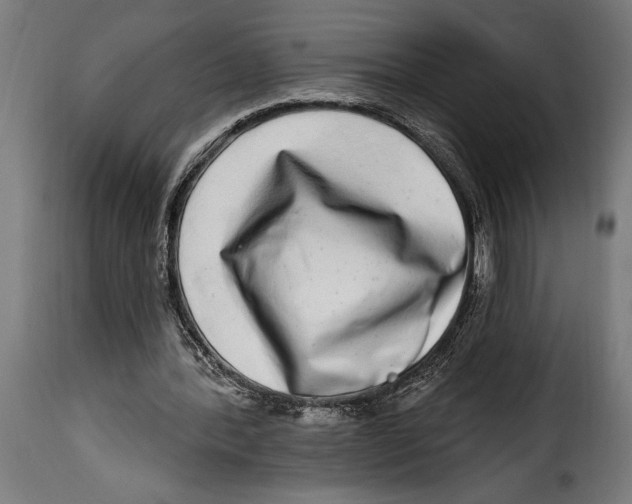 X0000115010388200911231231