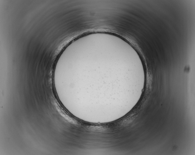 X0000115010389200911231231