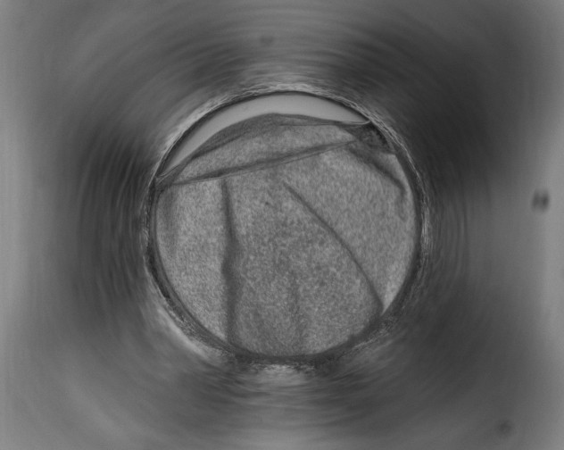 X0000115010390200911231231