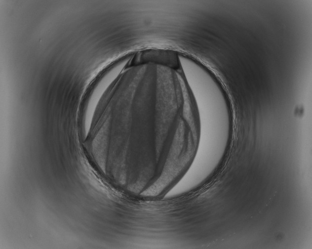 X0000115010391200911231231