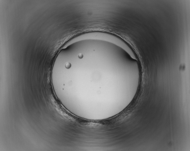 X0000115010393200911231231
