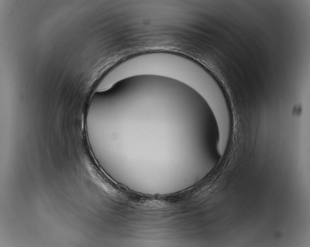 X0000115010397200911231231