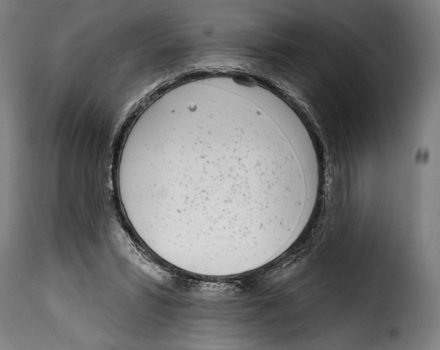 X0000115010399200911231231