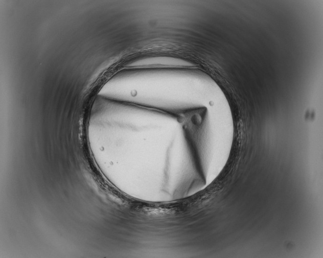 X0000115010400200911231231