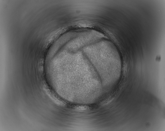 X0000115010402200911231231