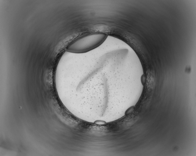 X0000115010403200911231231