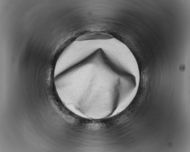 X0000115010404200911231231