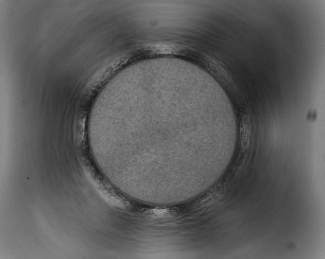 X0000115010406200911231231