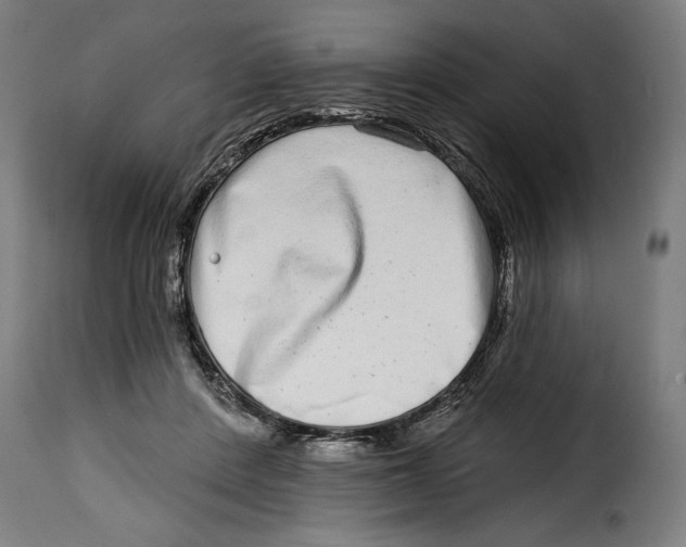 X0000115010408200911231231