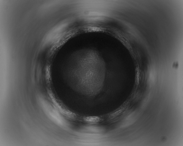 X0000115010410200911231231
