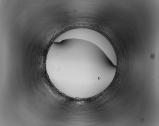 X0000115010411200911231231