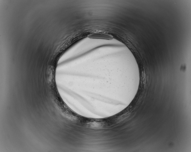X0000115010412200911231231