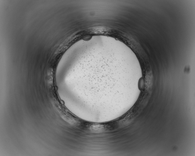 X0000115010413200911231231