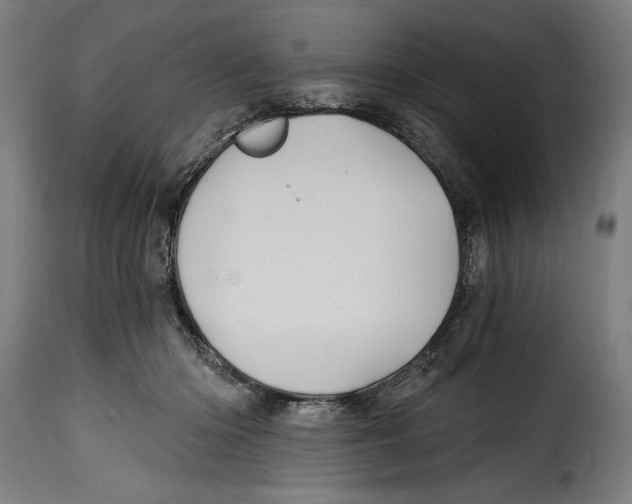 X0000115010414200911231231