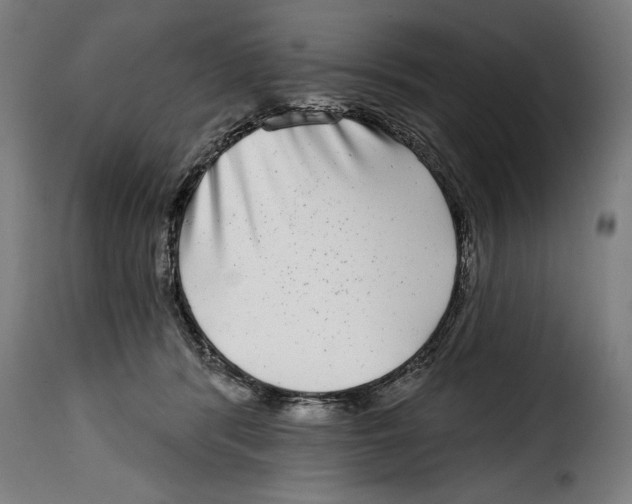 X0000115010416200911231231