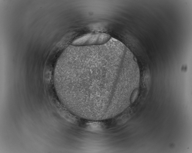 X0000115010417200911231231