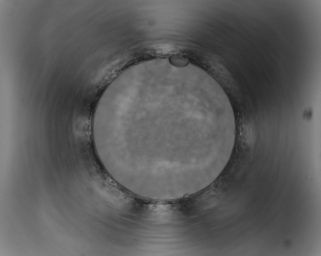 X0000115010419200911231231