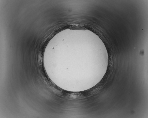 X0000115010420200911231231