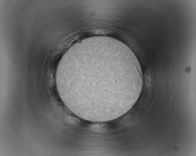X0000115010422200911231231