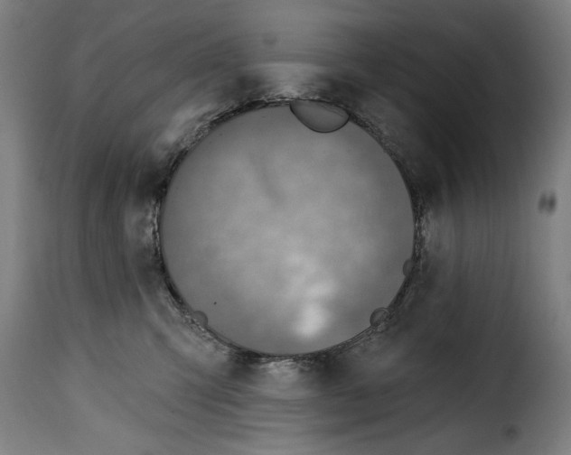 X0000115010423200911231231