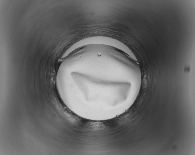 X0000115010424200911231231