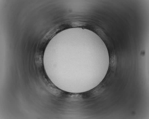 X0000115010426200911231231