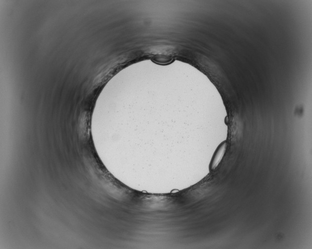 X0000115010428200911231231