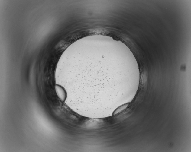 X0000115010429200911231231