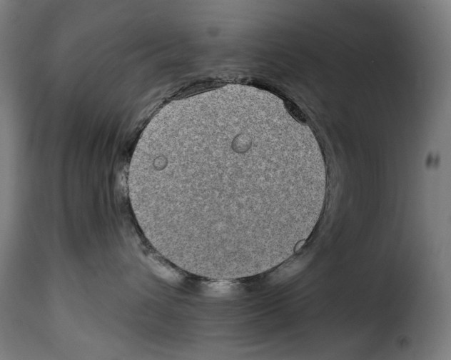 X0000115010432200911231231