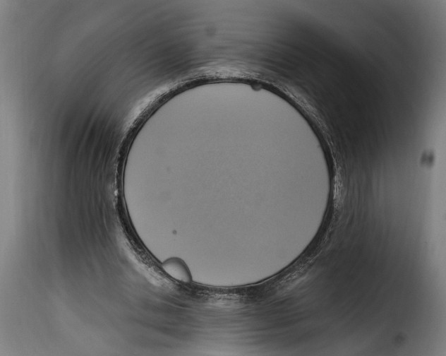 X0000115010438200911231230