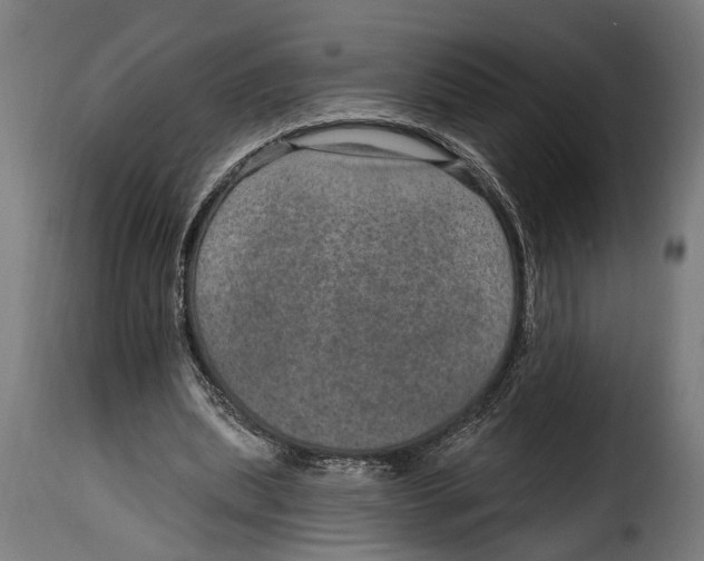 X0000115010439200911231230