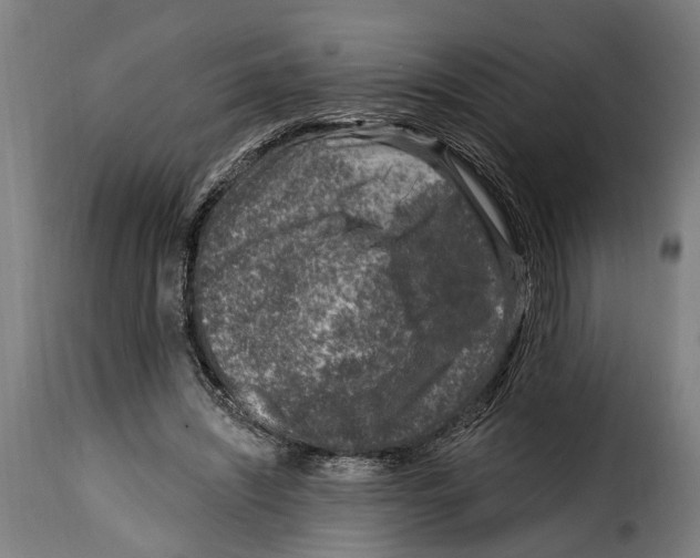 X0000115010444200911231230