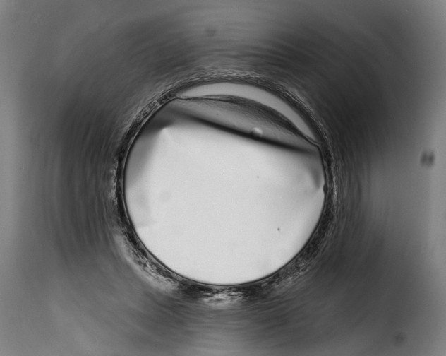 X0000115010447200911231230