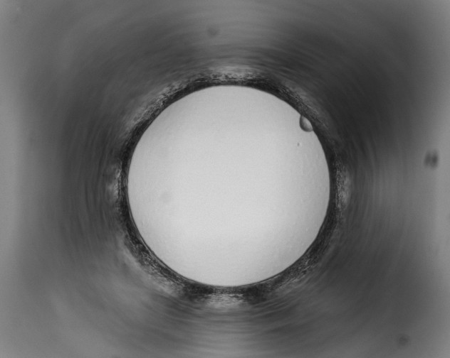 X0000115010451200911231230
