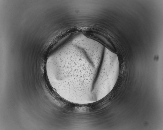 X0000115010452200911231230