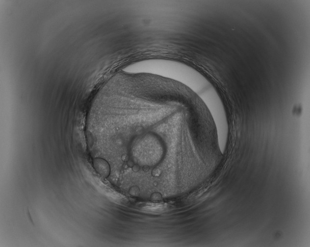 X0000115010458200911231231