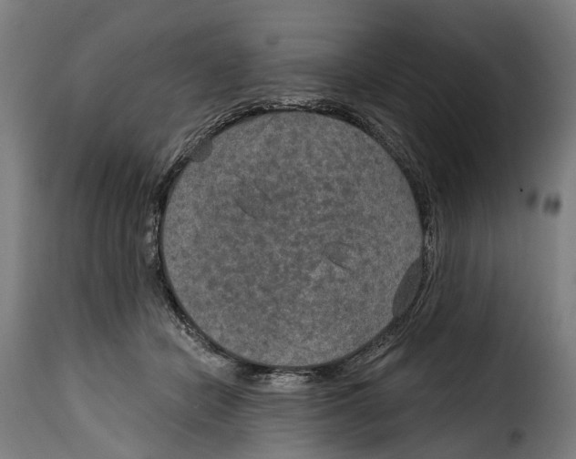 X0000115010462200911231231